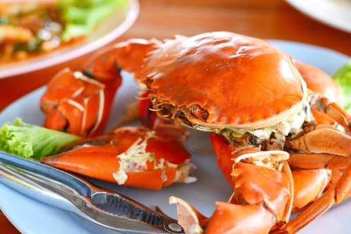 10 Best Places for Crab in Oregon!