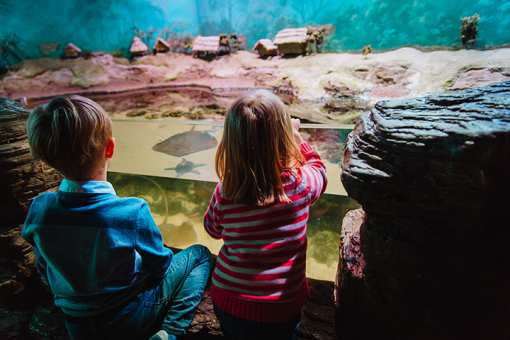 The 8 Best Educational Activities for Children in Oregon!